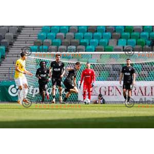 Fans of Olimpija celebrate Slovenian National Title after the Prva liga Telemach 2024/2025 football match between Bravo and Olimpija in Ljubljana, Slovenia on May 24, 2025