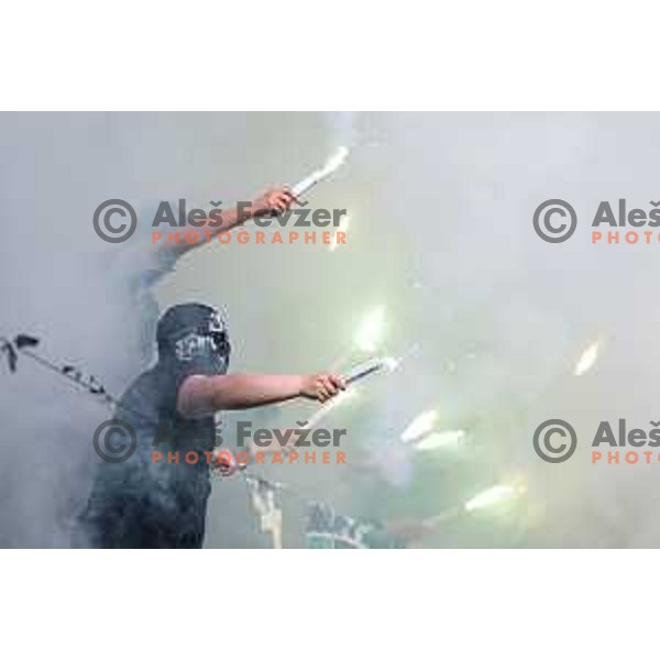 Fans of Olimpija celebrate Slovenian National Title after the Prva liga Telemach 2024/2025 football match between Bravo and Olimpija in Ljubljana, Slovenia on May 24, 2025