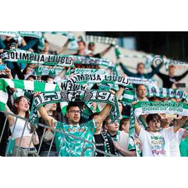 Fans of Olimpija celebrate Slovenian National Title after the Prva liga Telemach 2024/2025 football match between Bravo and Olimpija in Ljubljana, Slovenia on May 24, 2025