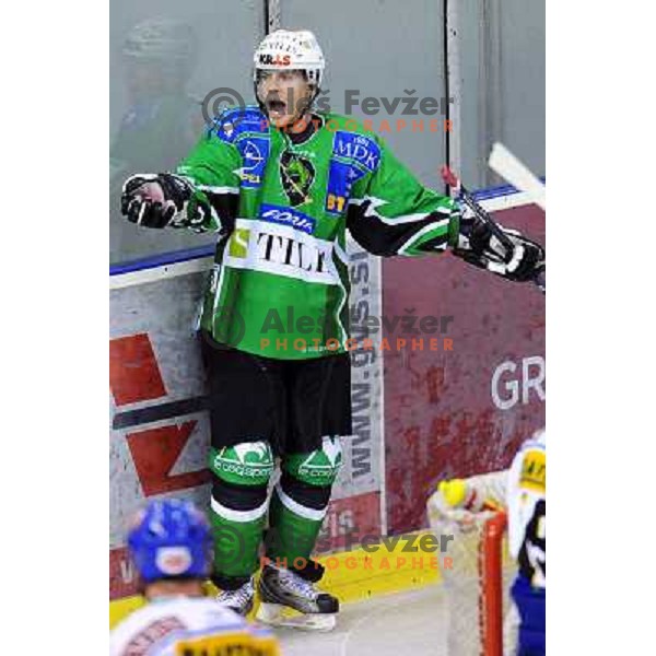 Music at ice hockey match in the EBEL League , Tilia Olimpija - EC Pasut VSV , 14.10.2008 Hala Tivoli, Ljubljana 
