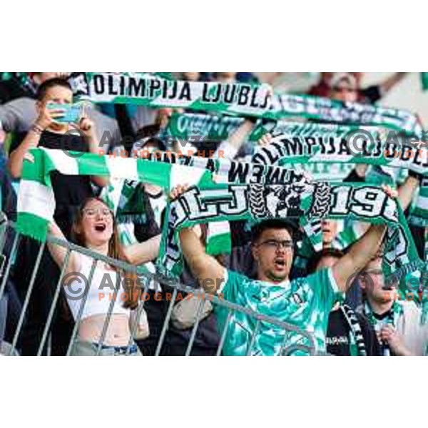 Fans of Olimpija celebrate Slovenian National Title after the Prva liga Telemach 2024/2025 football match between Bravo and Olimpija in Ljubljana, Slovenia on May 24, 2025
