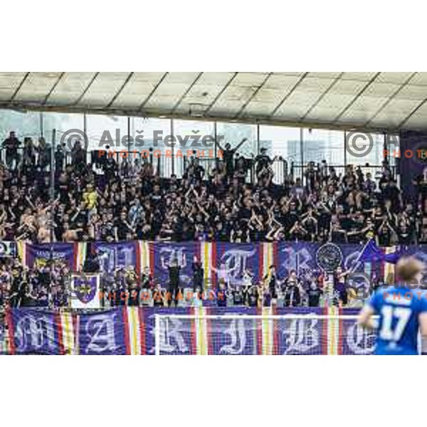 Maribor supporters Viole during Prva liga Telemach football match between Maribor and Nafta 1903 in Ljudski vrt, Maribor, Slovenia on May 25, 2025. Photo: Jure Banfi