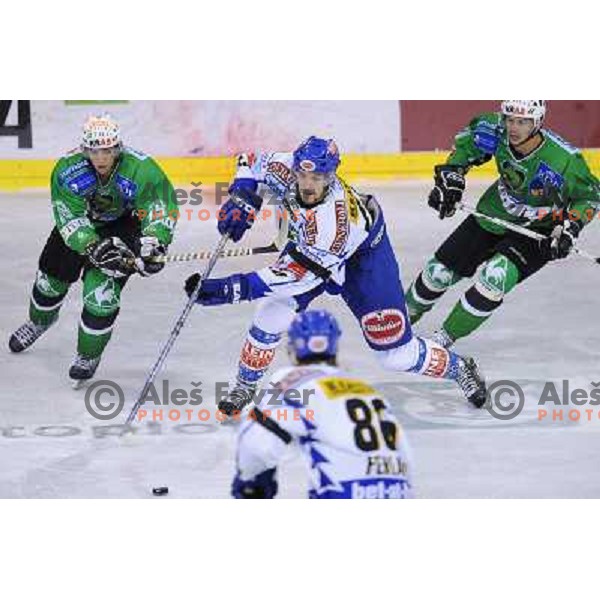 Pance , Golicic at ice hockey match in the EBEL League , Tilia Olimpija - EC Pasut VSV , 14.10.2008 Hala Tivoli, Ljubljana 