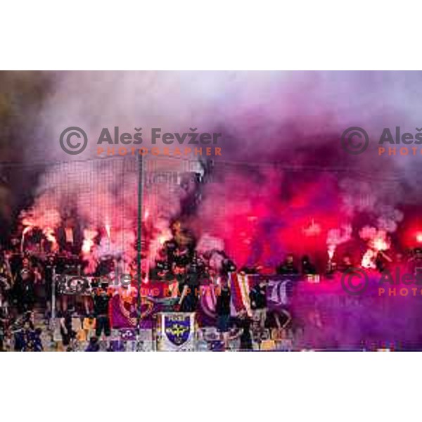 Maribor supporters Viole during Prva liga Telemach football match between Maribor and Nafta 1903 in Ljudski vrt, Maribor, Slovenia on May 25, 2025. Photo: Jure Banfi