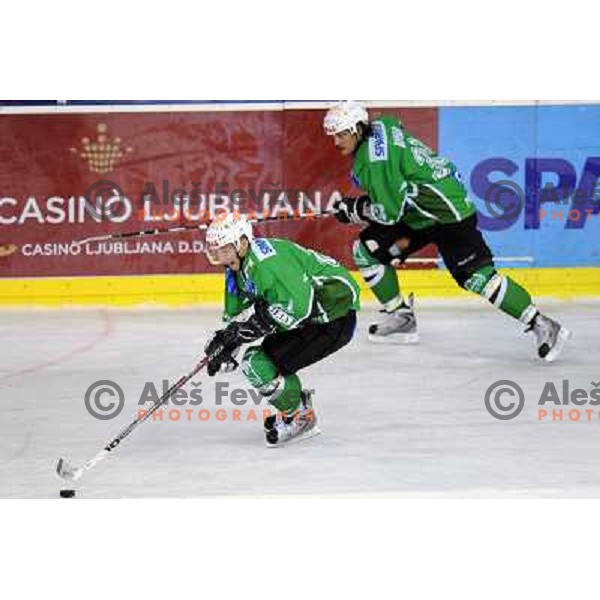 Vnuk , Banham at ice hockey match in the EBEL League , Tilia Olimpija - EC Pasut VSV , 14.10.2008 Hala Tivoli, Ljubljana 