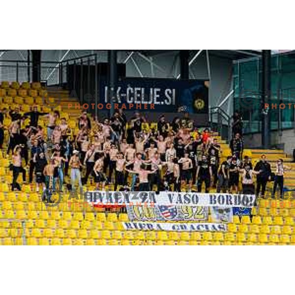 In action during Prva liga Telemach 2024/2025 football match between Celje and Domzale in Celje, Slovenia on May 25, 2025