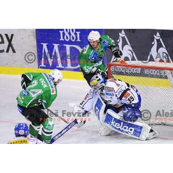 Vnuk at ice hockey match in the EBEL League , Tilia Olimpija - EC Pasut VSV , 14.10.2008 Hala Tivoli, Ljubljana 