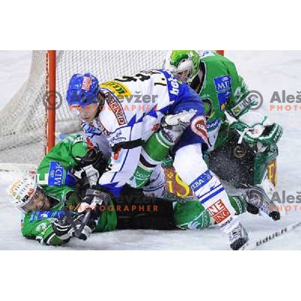 Vnuk at ice hockey match in the EBEL League , Tilia Olimpija - EC Pasut VSV , 14.10.2008 Hala Tivoli, Ljubljana 