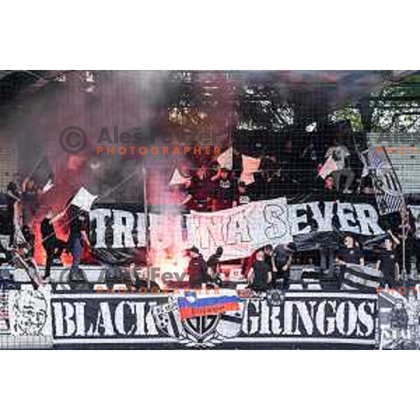 Mura supporters Black Gringos during Prva liga Telemach football match between Mura and Koper in Fazanerija, Murska Sobota, Slovenia on May 25, 2025. Photo: Jure Banfi