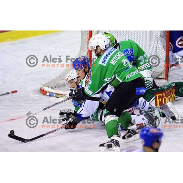 Vnuk at ice hockey match in the EBEL League , Tilia Olimpija - EC Pasut VSV , 14.10.2008 Hala Tivoli, Ljubljana 
