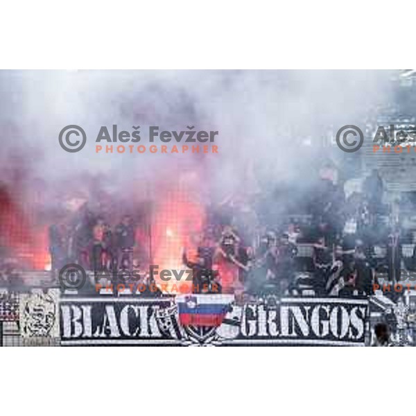 Mura supporters Black Gringos during Prva liga Telemach football match between Mura and Koper in Fazanerija, Murska Sobota, Slovenia on May 25, 2025. Photo: Jure Banfi