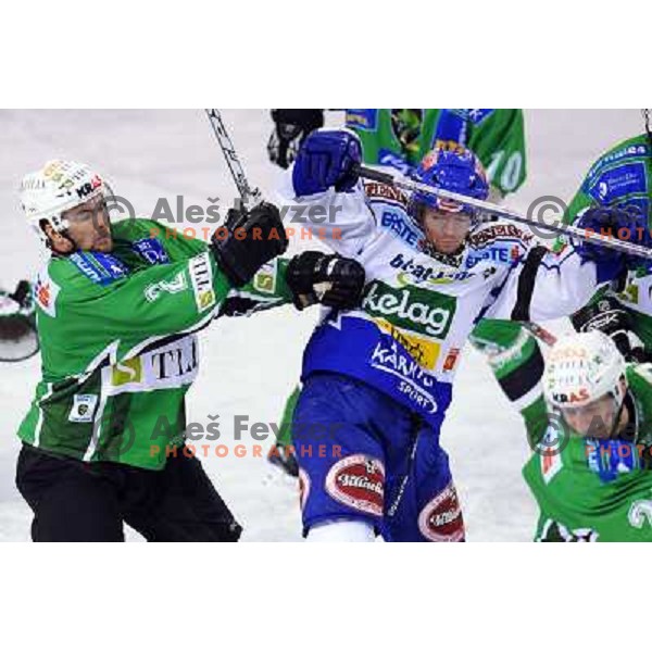 Mitchel at ice hockey match in the EBEL League , Tilia Olimpija - EC Pasut VSV , 14.10.2008 Hala Tivoli, Ljubljana 