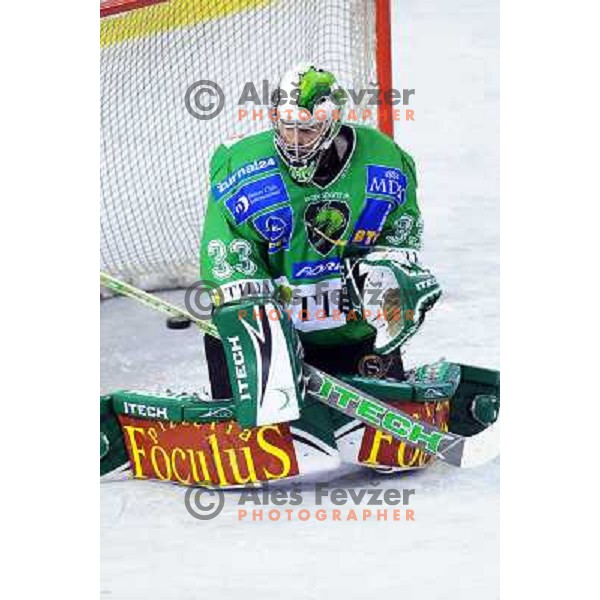 Morrison at ice hockey match in the EBEL League , Tilia Olimpija - EC Pasut VSV , 14.10.2008 Hala Tivoli, Ljubljana 