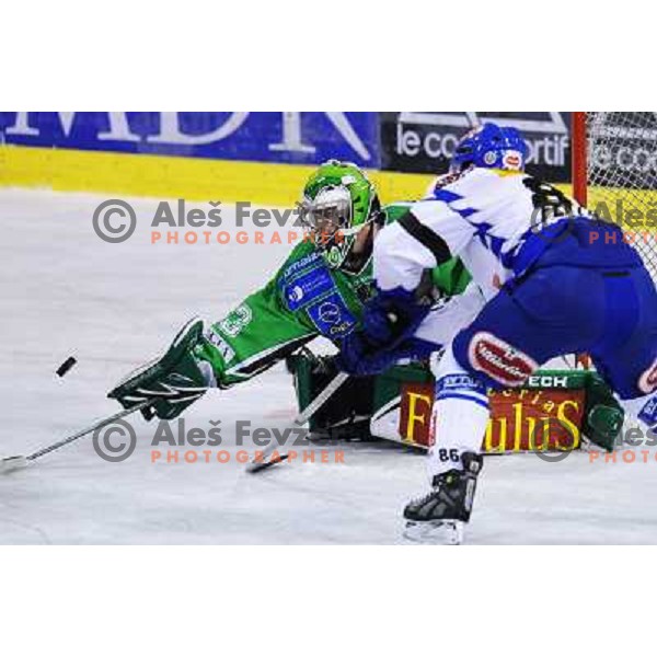 Morrison at ice hockey match in the EBEL League , Tilia Olimpija - EC Pasut VSV , 14.10.2008 Hala Tivoli, Ljubljana 