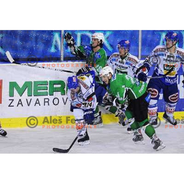 Vnuk and Banham at ice hockey match in the EBEL League , Tilia Olimpija - EC Pasut VSV , 14.10.2008 Hala Tivoli, Ljubljana 