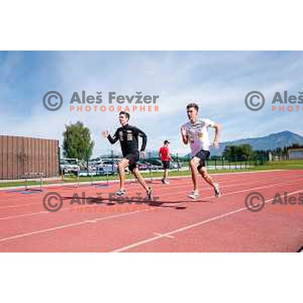 Timi Zajc of Slovenia Men\'s Ski-jumping team during summer practice in Kranj, Slovenia on May 26, 2025