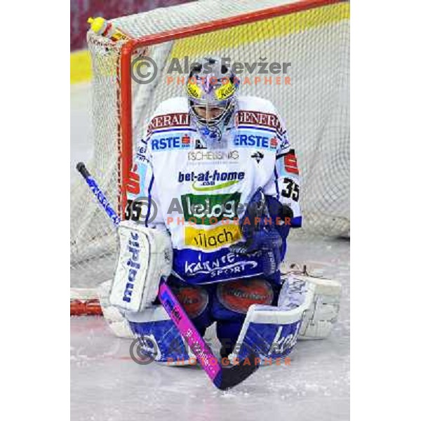 Prohaska at ice hockey match in the EBEL League , Tilia Olimpija - EC Pasut VSV , 14.10.2008 Hala Tivoli, Ljubljana 