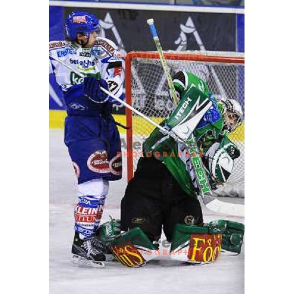 Morrison at ice hockey match in the EBEL League , Tilia Olimpija - EC Pasut VSV , 14.10.2008 Hala Tivoli, Ljubljana 
