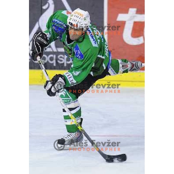 Intranuovo at ice hockey match in the EBEL League , Tilia Olimpija - EC Pasut VSV , 14.10.2008 Hala Tivoli, Ljubljana 