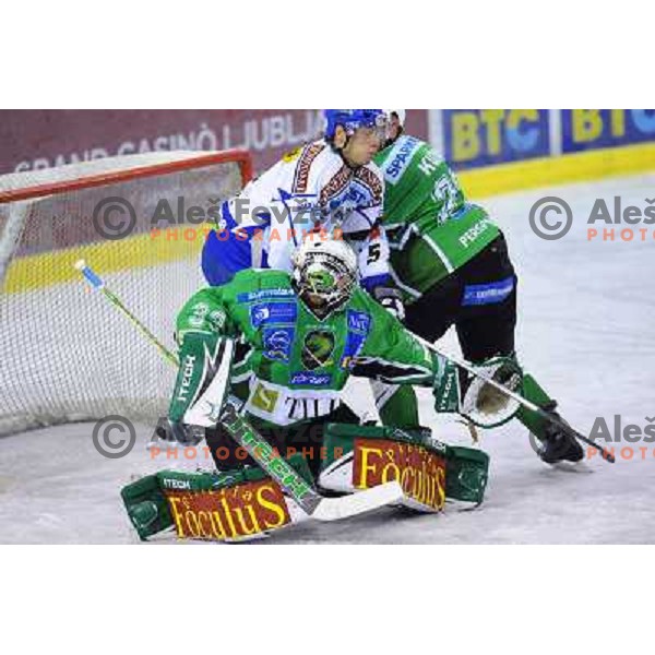 Morrison at ice hockey match in the EBEL League , Tilia Olimpija - EC Pasut VSV , 14.10.2008 Hala Tivoli, Ljubljana 
