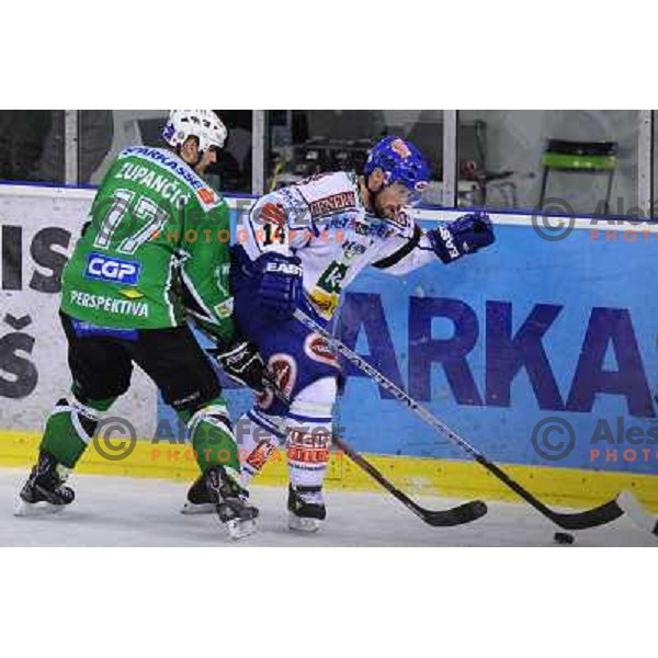 Zupancic at ice hockey match in the EBEL League , Tilia Olimpija - EC Pasut VSV , 14.10.2008 Hala Tivoli, Ljubljana 