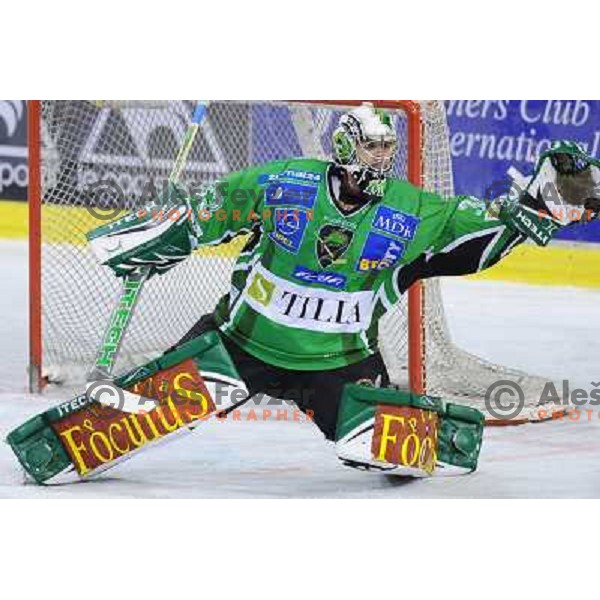 Morrison at ice hockey match in the EBEL League , Tilia Olimpija - EC Pasut VSV , 14.10.2008 Hala Tivoli, Ljubljana 