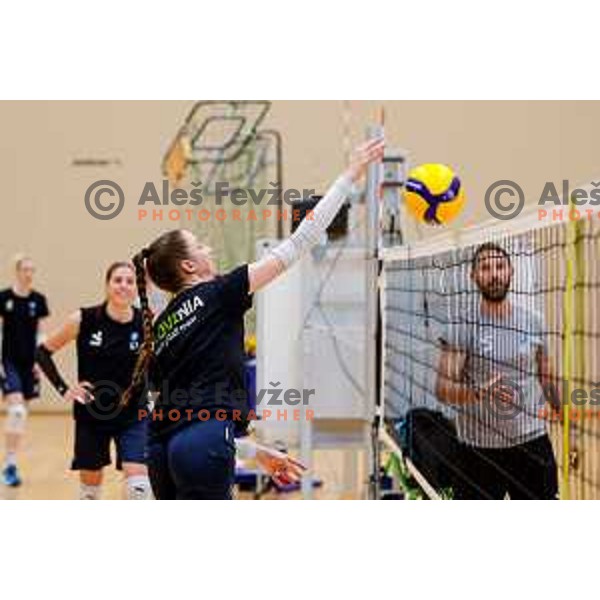 of Slovenia National Volleyball team during practice session in Ljubljana, Slovenia on May 28, 2025