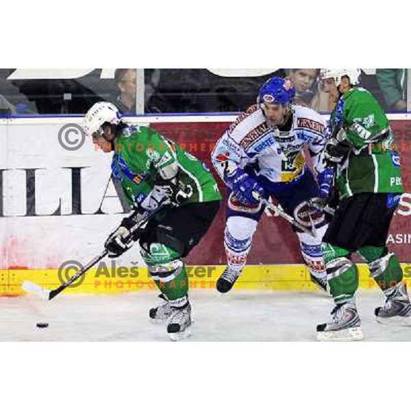 Banham and Vnuk at ice hockey match in the EBEL League , Tilia Olimpija - EC Pasut VSV , 14.10.2008 Hala Tivoli, Ljubljana 