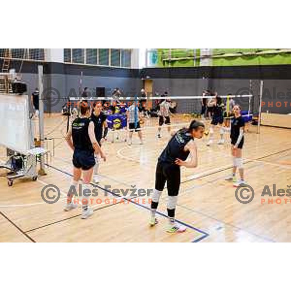 of Slovenia National Volleyball team during practice session in Ljubljana, Slovenia on May 28, 2025