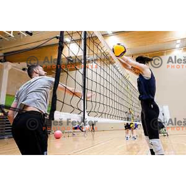 of Slovenia National Volleyball team during practice session in Ljubljana, Slovenia on May 28, 2025