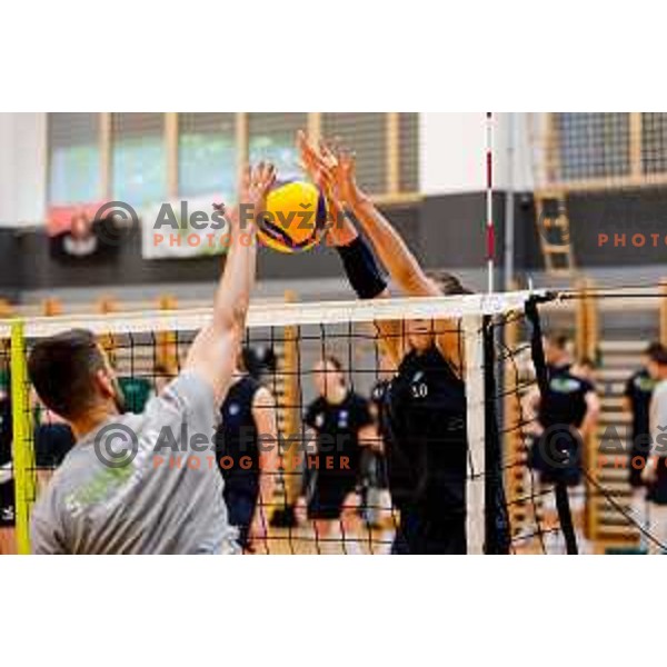 of Slovenia National Volleyball team during practice session in Ljubljana, Slovenia on May 28, 2025