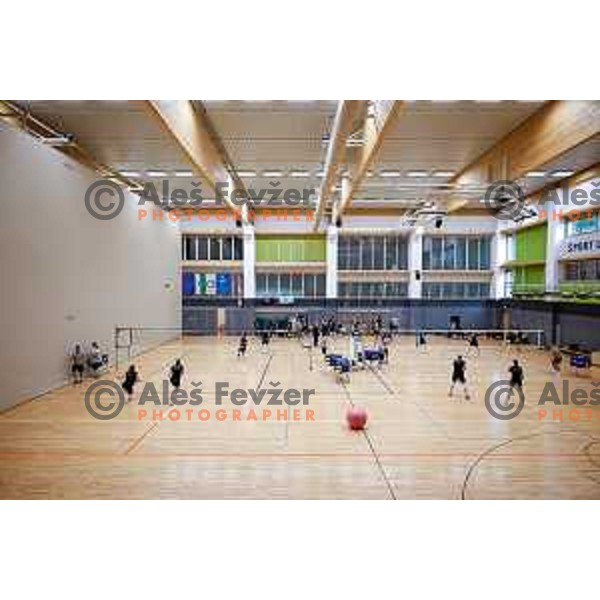 of Slovenia National Volleyball team during practice session in Ljubljana, Slovenia on May 28, 2025