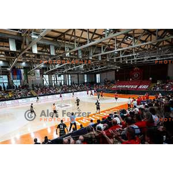 in action during first match of the Final of 1.NLB League 2024/2025 between RD LL Grosist Slovan and RK Gorenje Velenje in Kodeljevo Hall in Ljubljana, Slovenia on May 31, 2025