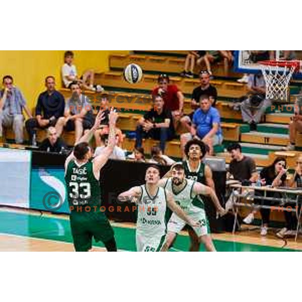 Danilo Tasic in action during first match of the Finals of OTP Bank League 2024/2025 between Krka and Cedevita Olimpija in Novo Mesto, Slovenia on June 3, 2025