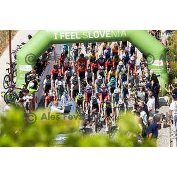 Stage 4 of Tour of Slovenia 2025 cycling race from Maribor to Golte on June 7, 2025. Photo: Jure Banfi