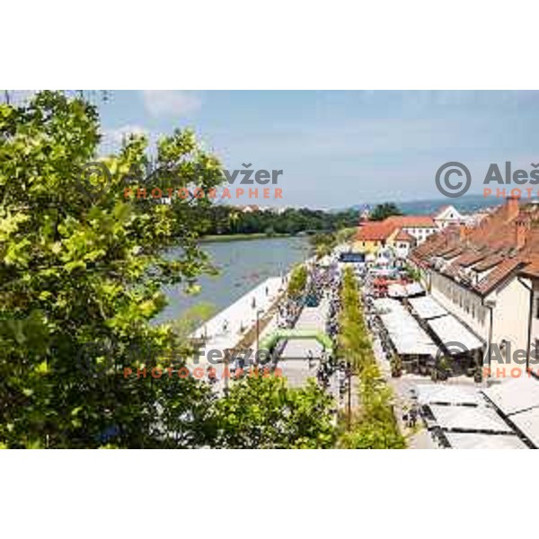 Stage 4 of Tour of Slovenia 2025 cycling race from Maribor to Golte on June 7, 2025. Photo: Jure Banfi