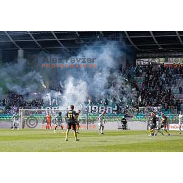 during Prva liga Telemach 2024/2025 football match between Olimpija and Kalcer Radomlje in Ljubljana, Slovenia on May 17, 2025