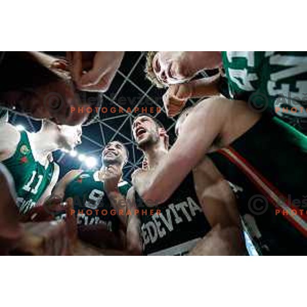 Aleksej Nikolic celebrates Slovenian National Title after victory in the fourth match of the Finals of OTP Bank League 2024/2025 between Cedevita Olimpija and Krka in SRC Stozice, Ljubljana, Slovenia on June 9, 2025.