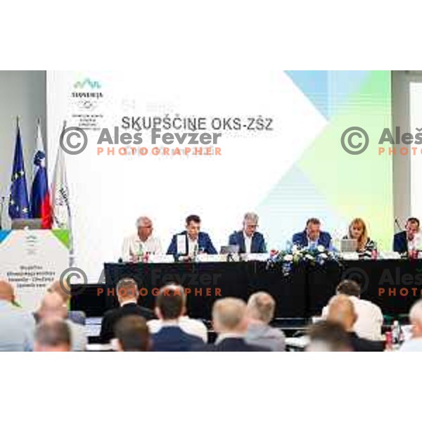 Franjo Bobinac at General Assembly of Slovenia Olympic Committee in Celje, Slovenia on June 10, 2025