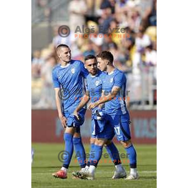 David Zec, Aljosa Matko and Tamar Svetlin at international friendly football match between Slovenia and Bosnia and Herzegovina in Celje, Slovenia on June 10, 2025.