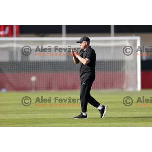 Matjaz Kek, head coach of Slovenia during friendly football match between national team of Slovenia and Bosnia and Herzegovina in Stadion z’dezele, Celje, Slovenia on June 10, 2025