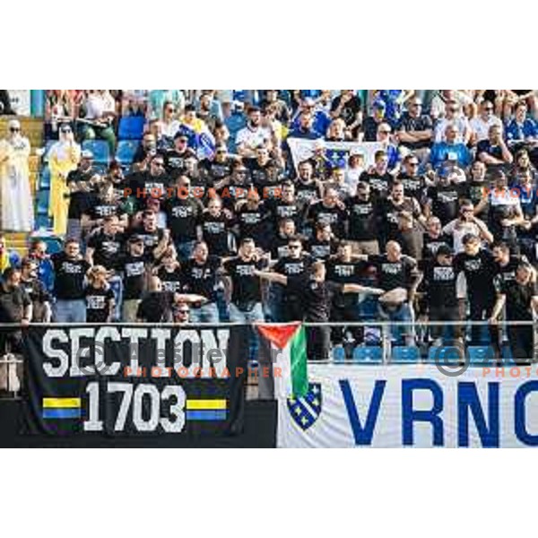 Section 1703 fans in action during friendly football match between national team of Slovenia and Bosnia and Herzegovina in Stadion z’dezele, Celje, Slovenia on June 10, 2025. Photo: Jure Banfi