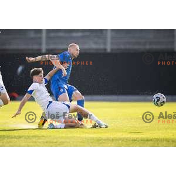 Arjan Malic and Blaz Kramer in action during international friendly football match between Slovenia and Bosnia and Herzegovina in Celje, Slovenia on June 10, 2025.