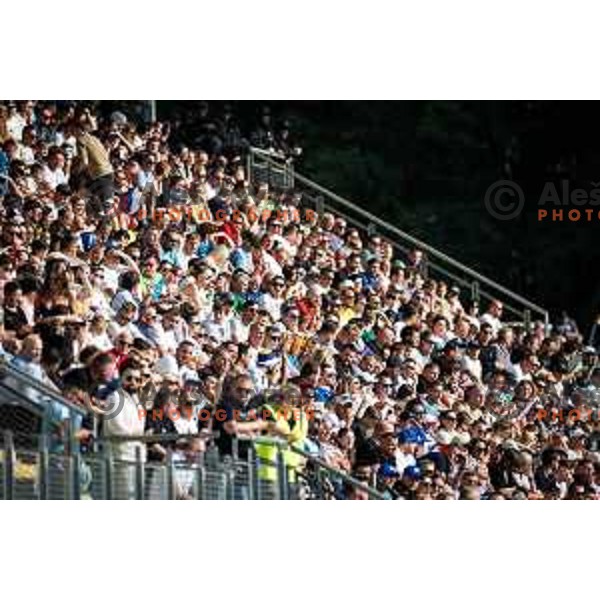 Fans during friendly football match between national team of Slovenia and Bosnia and Herzegovina in Stadion z’dezele, Celje, Slovenia on June 10, 2025. Photo: Jure Banfi