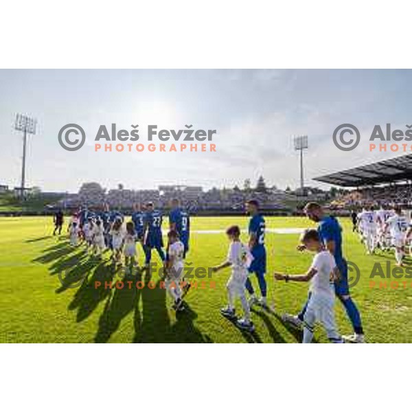 Team Slovenia before friendly football match between national team of Slovenia and Bosnia and Herzegovina in Stadion z’dezele, Celje, Slovenia on June 10, 2025. Photo: Jure Banfi