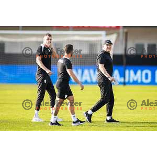 Matjaz Kek, head coach of Slovenia during friendly football match between national team of Slovenia and Bosnia and Herzegovina in Stadion z’dezele, Celje, Slovenia on June 10, 2025. Photo: Jure Banfi