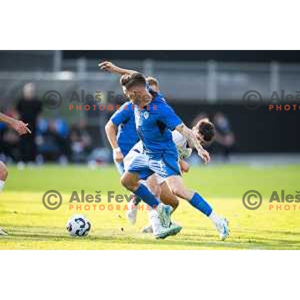 Arjan Malic and Benjamin Verbic in action during international friendly football match between Slovenia and Bosnia and Herzegovina in Celje, Slovenia on June 10, 2025.