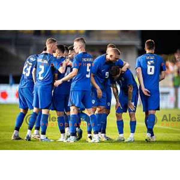 Benjamin Verbic celebrates goal during friendly football match between national team of Slovenia and Bosnia and Herzegovina in Stadion z’dezele, Celje, Slovenia on June 10, 2025. Photo: Jure Banfi