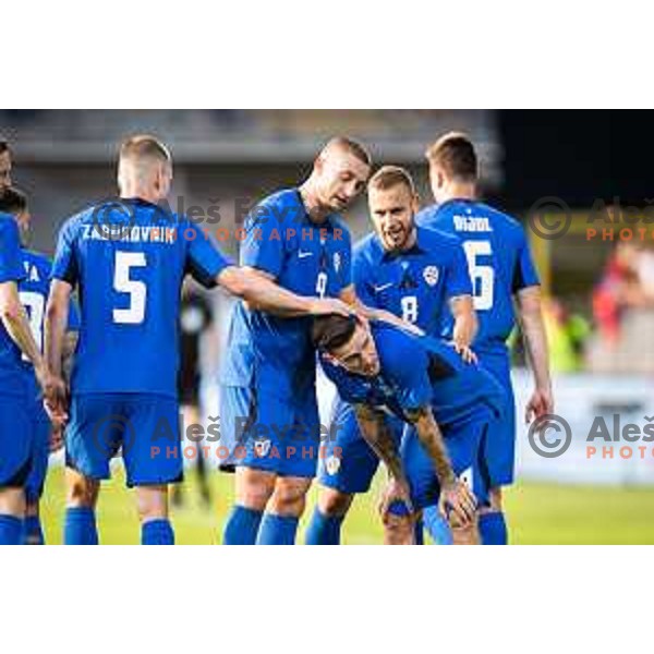 Benjamin Verbic celebrates goal during friendly football match between national team of Slovenia and Bosnia and Herzegovina in Stadion z’dezele, Celje, Slovenia on June 10, 2025. Photo: Jure Banfi