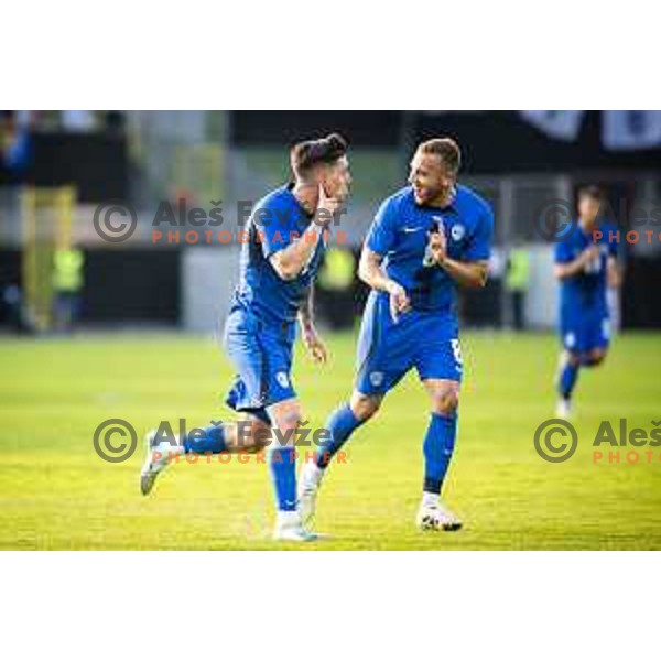 Benjamin Verbic and Sandi Lovric celebrate a goal during friendly football match between national team of Slovenia and Bosnia and Herzegovina in Stadion z’dezele, Celje, Slovenia on June 10, 2025. Photo: Jure Banfi